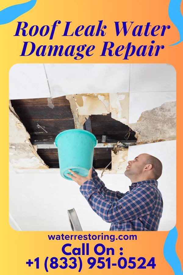 Roof Leak Water Damage Repair in Des Moines, WA
